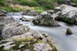 rocks, brook, stream